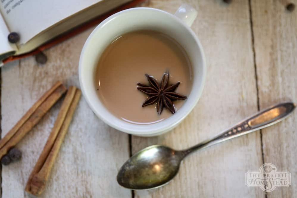 Indian Masala Tea Recipe – Aromatic and Energizing Blend