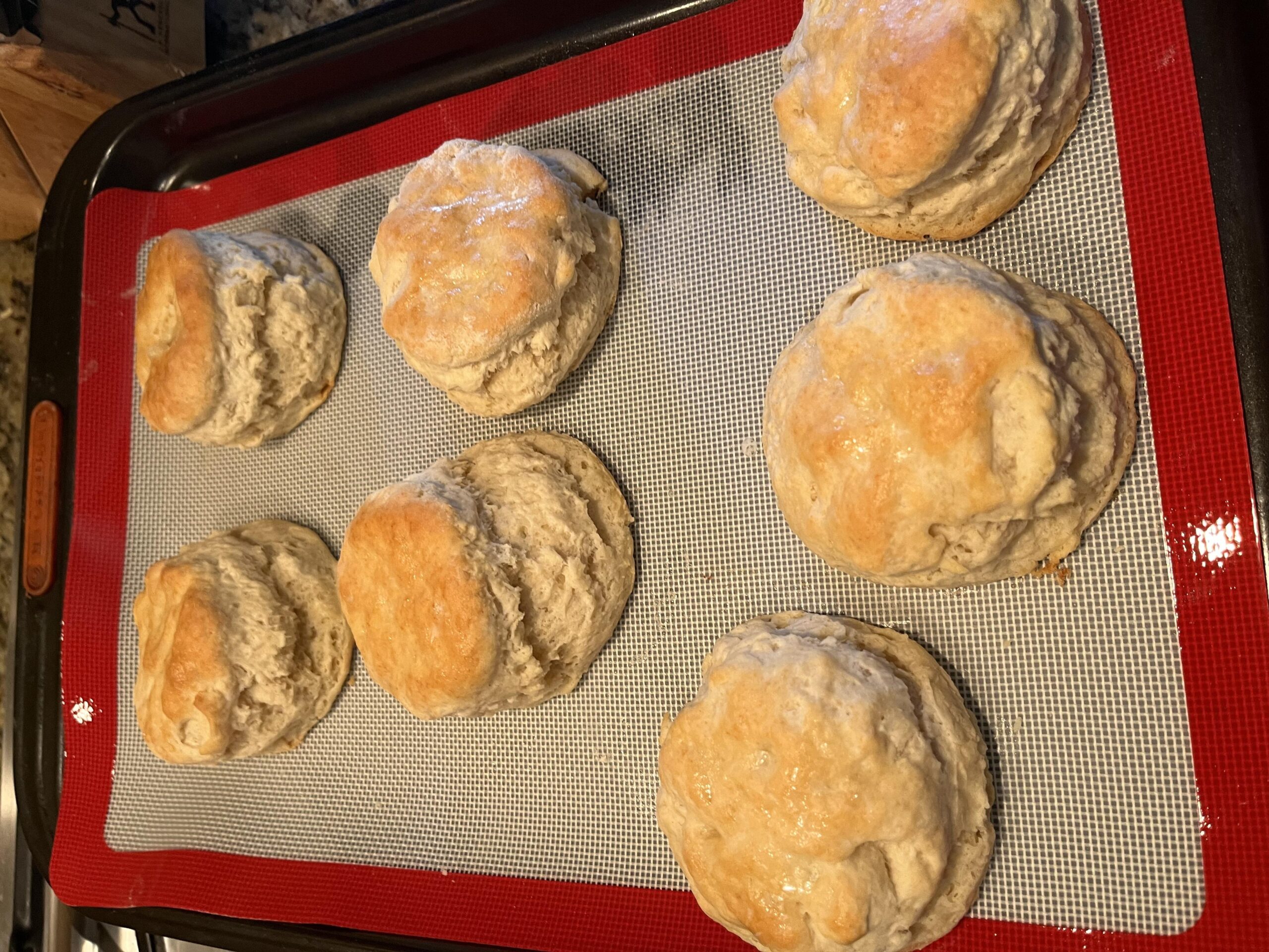  The perfect buttery biscuit, straight from the oven